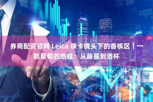 券商配资官网 Leica 徕卡镜头下的香槟区｜一颗葡萄的旅程：从藤蔓到酒杯