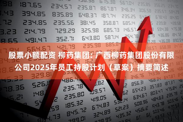 股票小额配资 柳药集团: 广西柳药集团股份有限公司2025年员工持股计划（草案）摘要简述