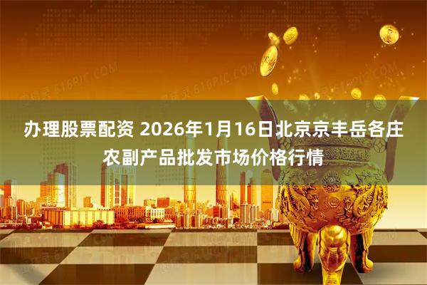 办理股票配资 2026年1月16日北京京丰岳各庄农副产品批发市场价格行情
