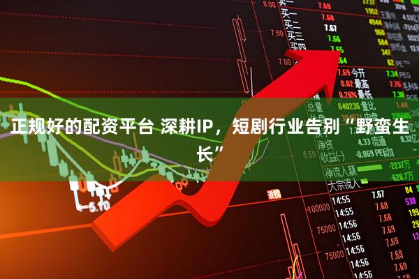 正规好的配资平台 深耕IP，短剧行业告别“野蛮生长”